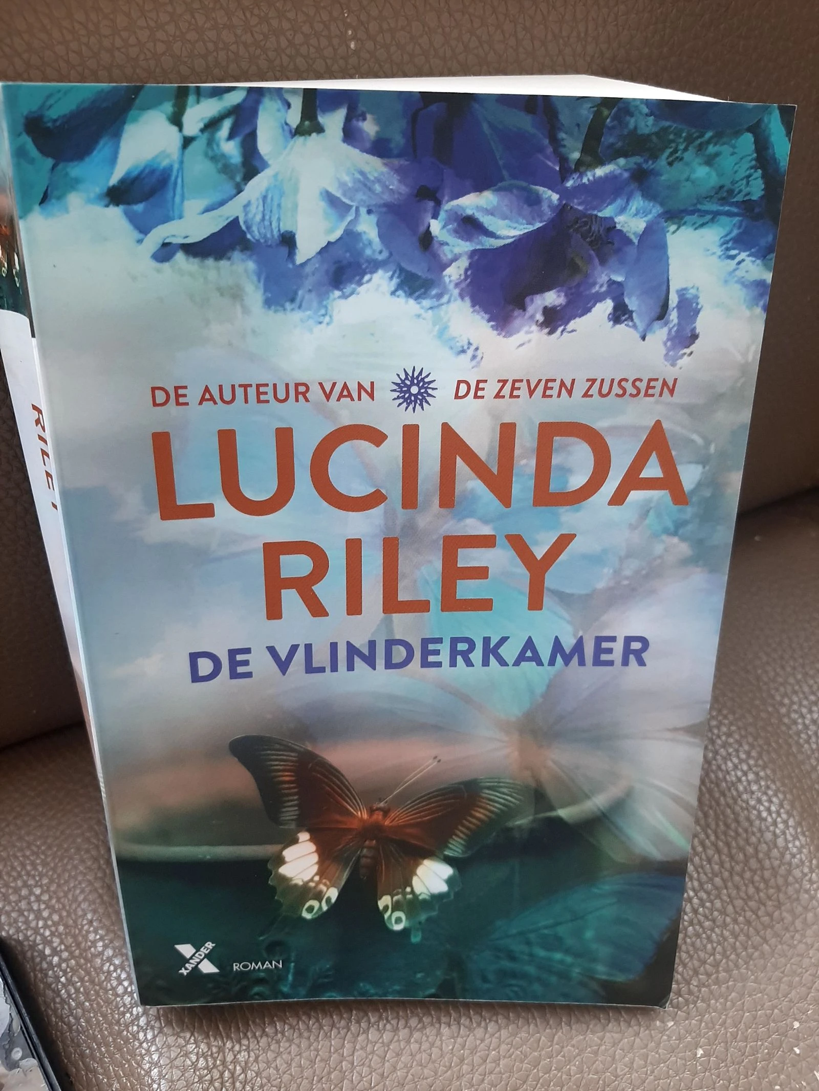 Lucinda Riley -De vlinderkamer